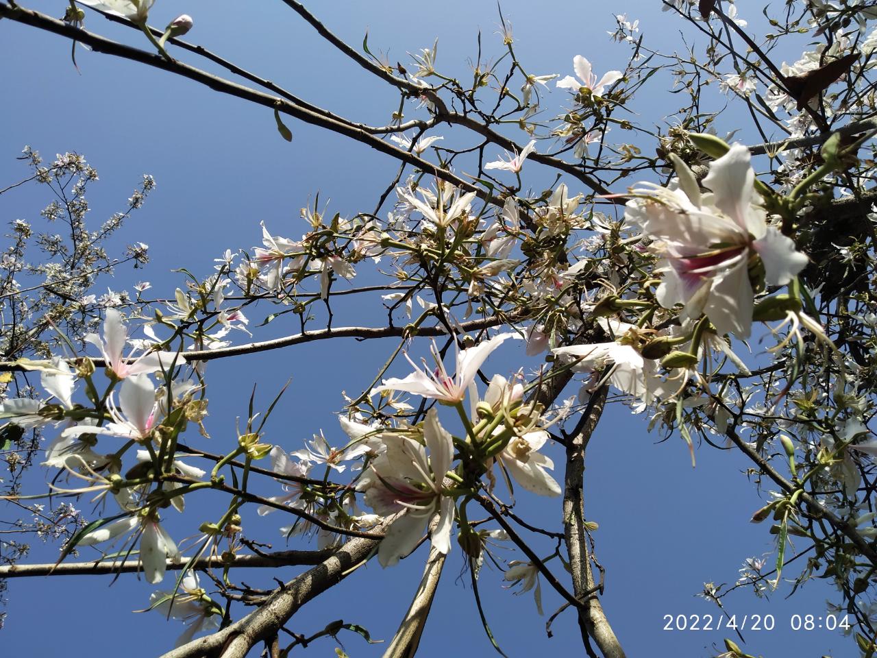 2022-04-20_02